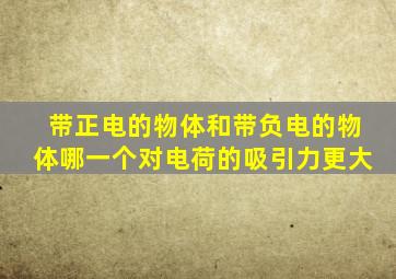 带正电的物体和带负电的物体哪一个对电荷的吸引力更大