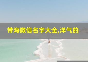 带海微信名字大全,洋气的