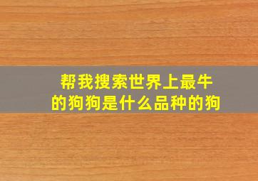 帮我搜索世界上最牛的狗狗是什么品种的狗