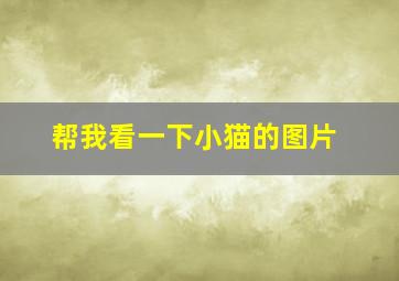 帮我看一下小猫的图片