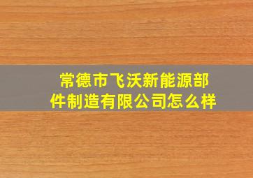 常德市飞沃新能源部件制造有限公司怎么样