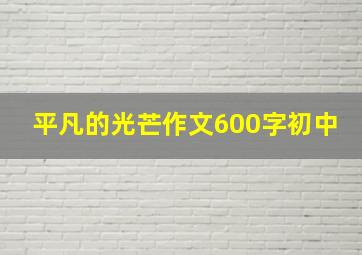 平凡的光芒作文600字初中