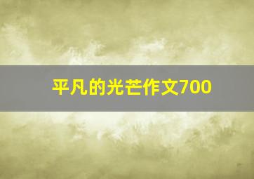 平凡的光芒作文700