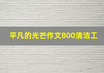 平凡的光芒作文800清洁工