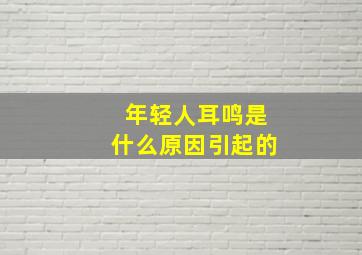 年轻人耳鸣是什么原因引起的