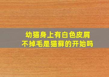 幼猫身上有白色皮屑不掉毛是猫藓的开始吗