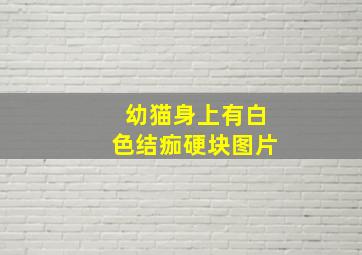 幼猫身上有白色结痂硬块图片