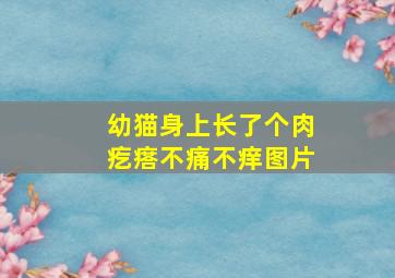 幼猫身上长了个肉疙瘩不痛不痒图片