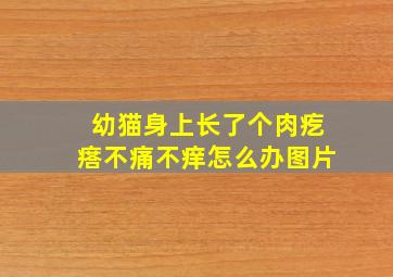 幼猫身上长了个肉疙瘩不痛不痒怎么办图片