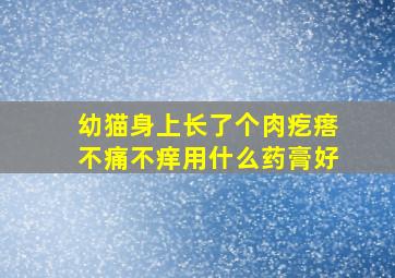 幼猫身上长了个肉疙瘩不痛不痒用什么药膏好