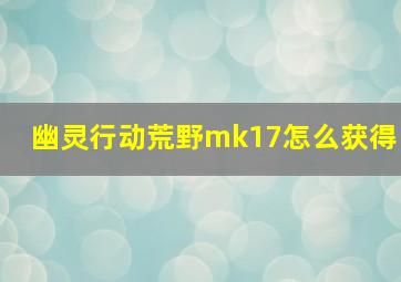 幽灵行动荒野mk17怎么获得