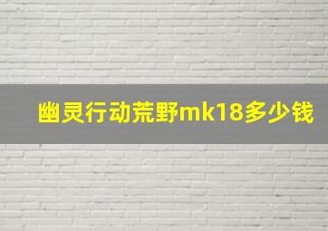 幽灵行动荒野mk18多少钱