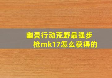 幽灵行动荒野最强步枪mk17怎么获得的