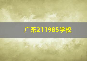 广东211985学校