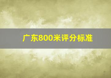 广东800米评分标准