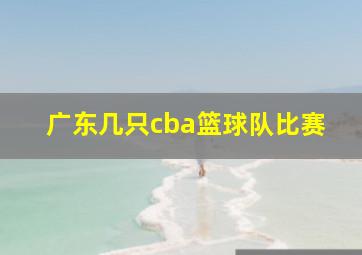 广东几只cba篮球队比赛