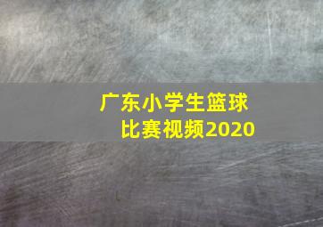 广东小学生篮球比赛视频2020