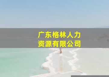 广东格林人力资源有限公司