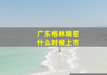 广东格林精密什么时候上市