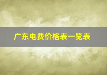 广东电费价格表一览表