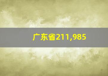 广东省211,985