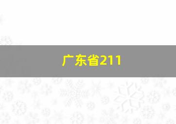 广东省211