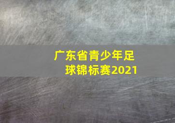 广东省青少年足球锦标赛2021