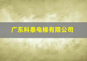 广东科泰电梯有限公司