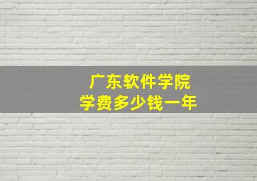 广东软件学院学费多少钱一年