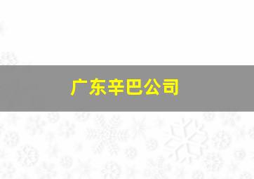 广东辛巴公司