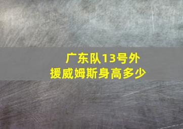 广东队13号外援威姆斯身高多少