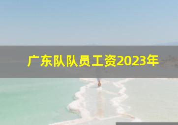 广东队队员工资2023年