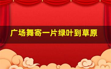 广场舞寄一片绿叶到草原