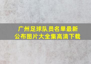 广州足球队员名单最新公布图片大全集高清下载