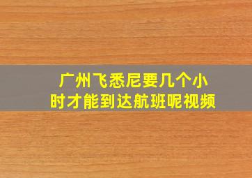 广州飞悉尼要几个小时才能到达航班呢视频