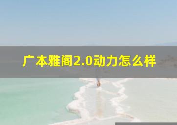 广本雅阁2.0动力怎么样