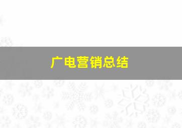 广电营销总结