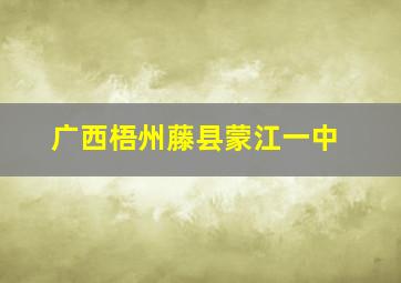 广西梧州藤县蒙江一中