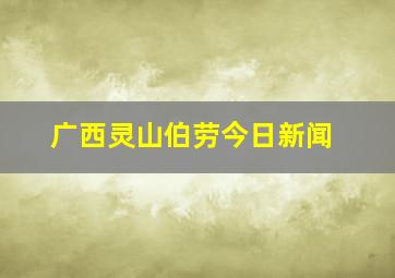 广西灵山伯劳今日新闻