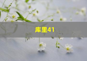 库里41