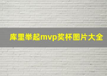 库里举起mvp奖杯图片大全