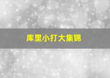 库里小打大集锦