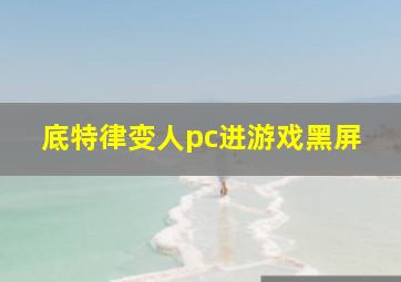 底特律变人pc进游戏黑屏