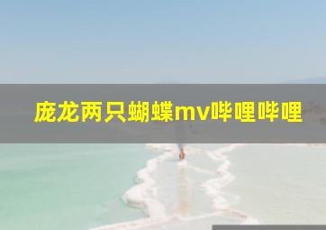 庞龙两只蝴蝶mv哔哩哔哩