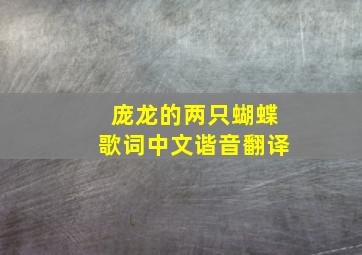 庞龙的两只蝴蝶歌词中文谐音翻译