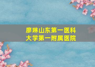 廖琳山东第一医科大学第一附属医院