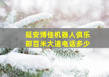 延安博佳机器人俱乐部百米大道电话多少