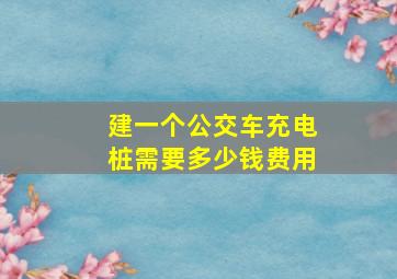 建一个公交车充电桩需要多少钱费用