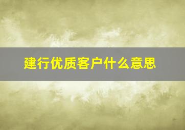 建行优质客户什么意思