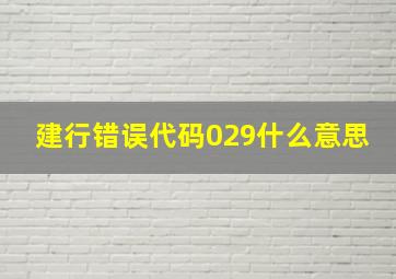 建行错误代码029什么意思